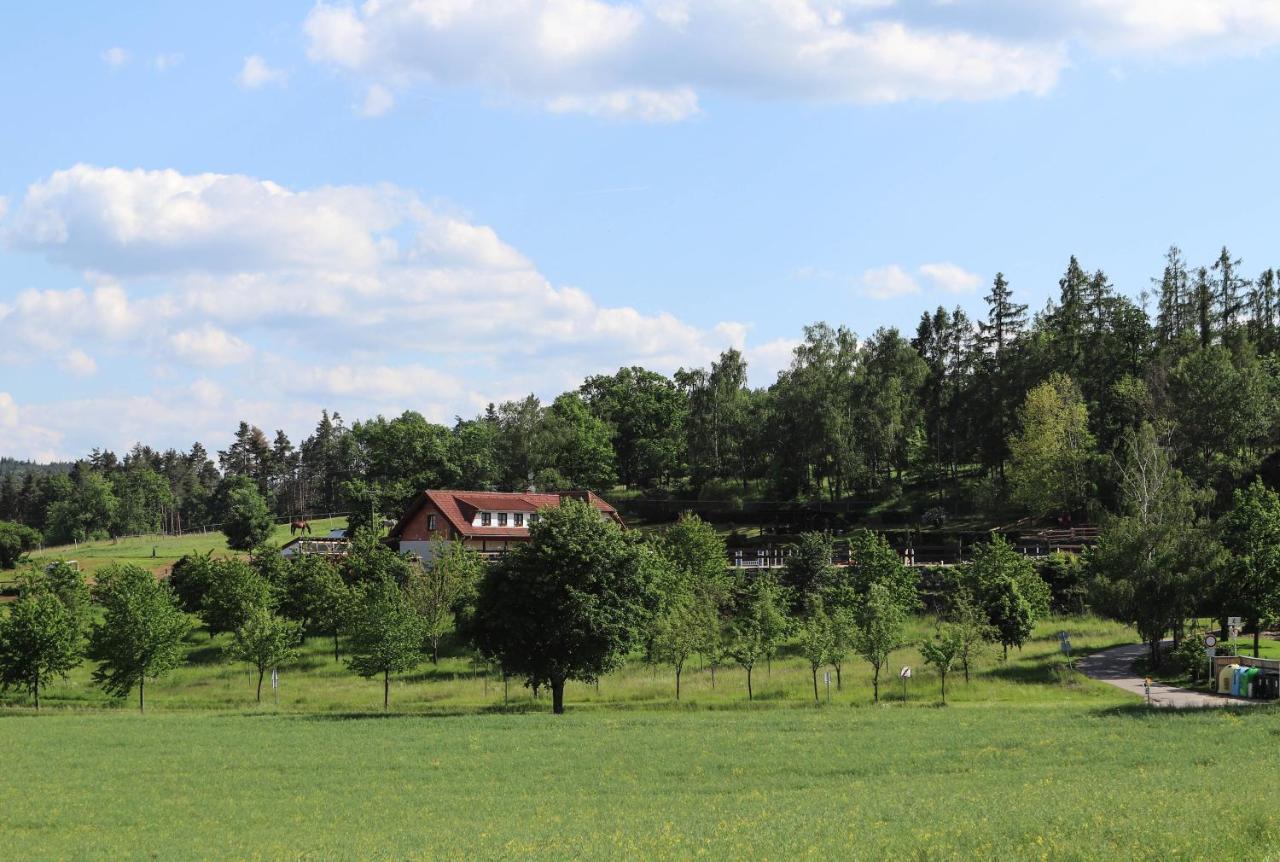 Ubytovani Pod Haniperkem Hotel Vodnany Luaran gambar