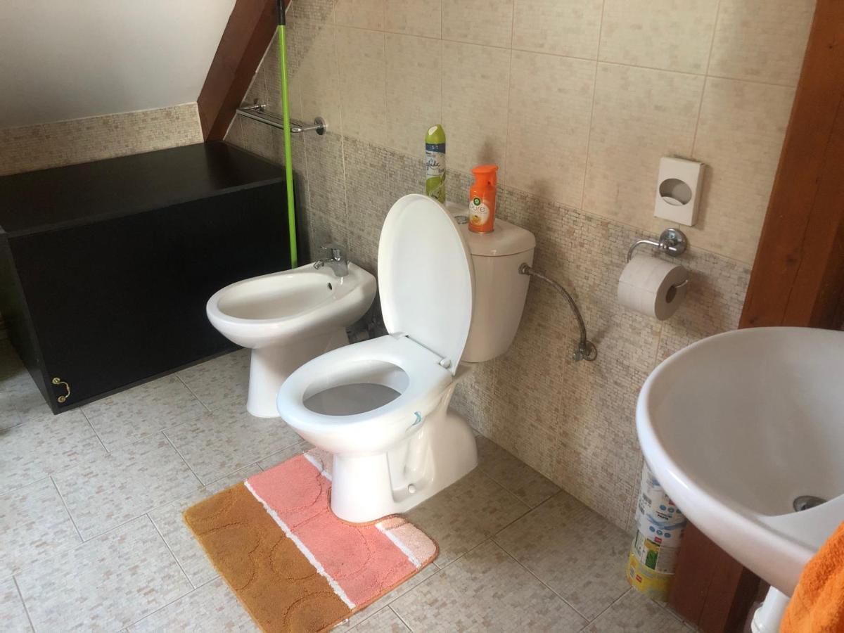 Ubytovani Pod Haniperkem Hotel Vodnany Luaran gambar