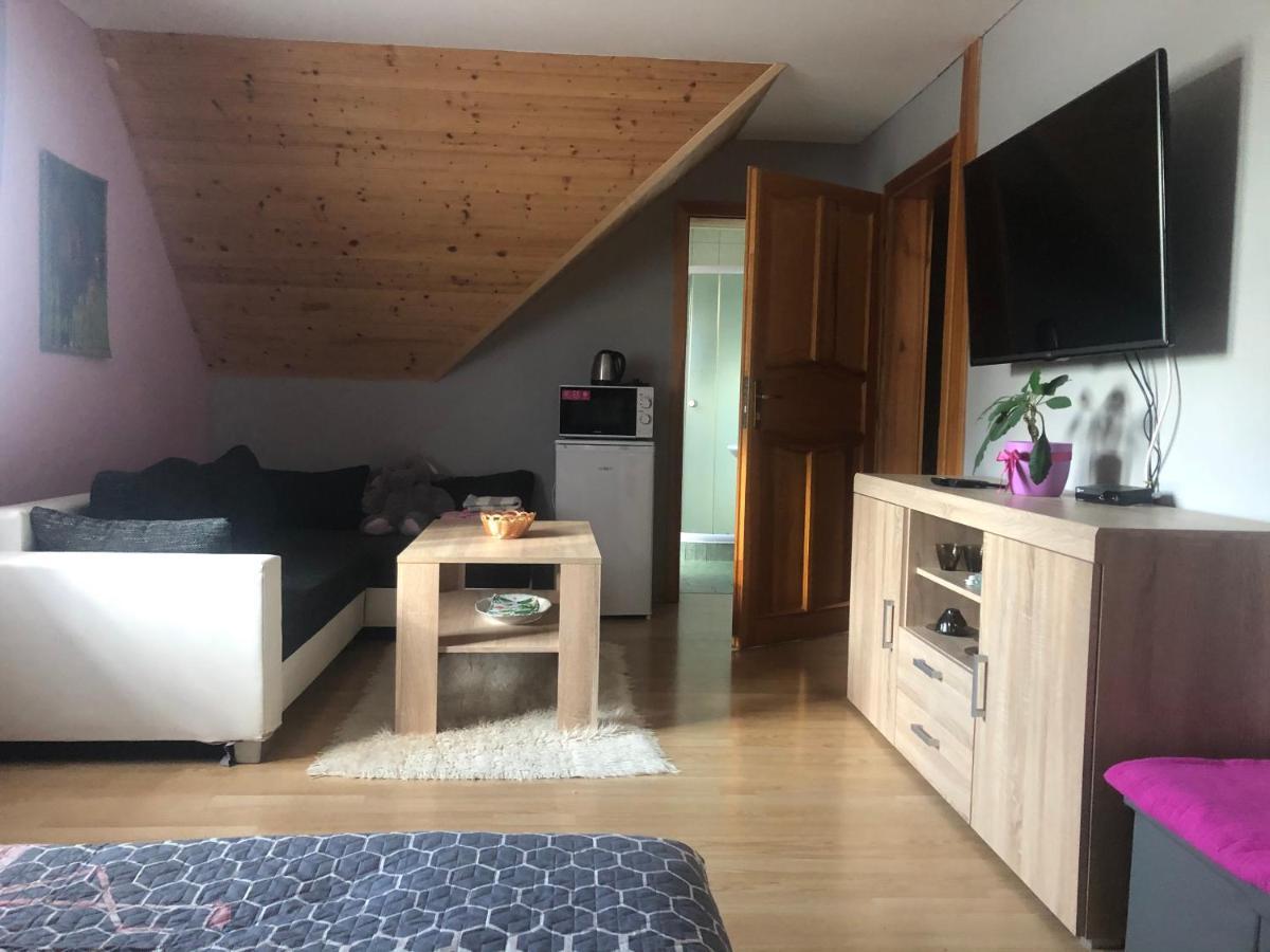 Ubytovani Pod Haniperkem Hotel Vodnany Luaran gambar