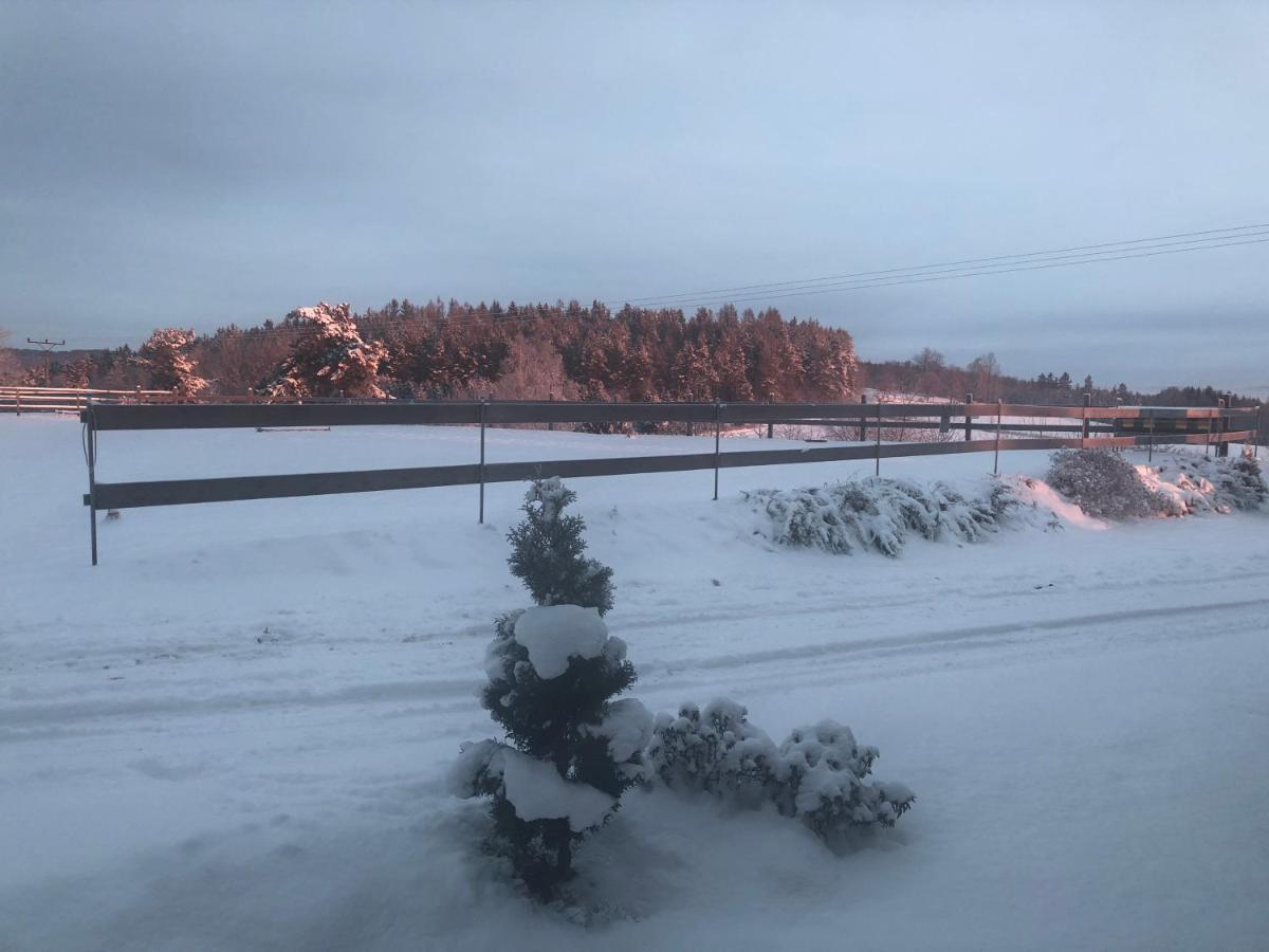 Ubytovani Pod Haniperkem Hotel Vodnany Luaran gambar